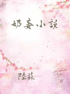 奶妾小说