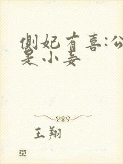 侧妃有喜:公主是小妾