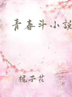 青春斗小说