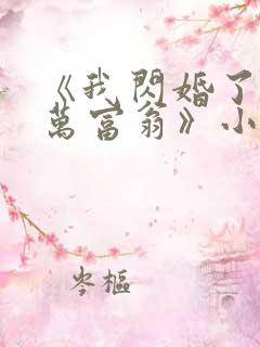 《我闪婚了个亿万富翁》小说