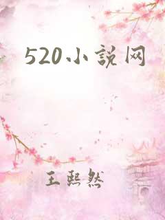 520小说网