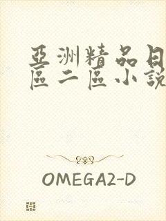 亚洲精品日韩一区二区小说