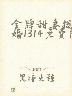 金牌甜妻总裁宠婚1314免费阅读