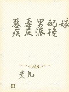 恶毒男配嫁给残疾反派后