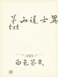 茅山道士异界游txt