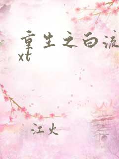 重生之白流苏txt