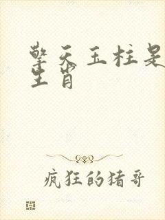 擎天玉柱是什么生肖