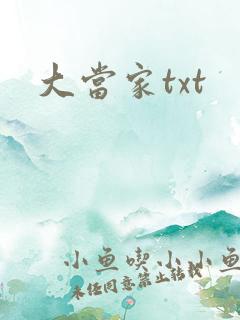 大当家txt