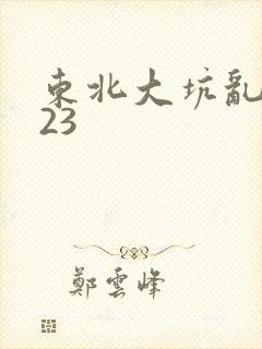 东北大坑乱1—23