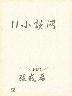 11小说网