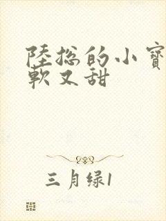 陆总的小宝贝又软又甜