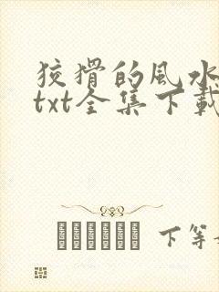 狡猾的风水相师txt全集下载