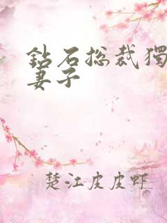 钻石总裁独宠小妻子