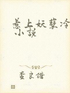 惹上妖孽冷殿下 小说