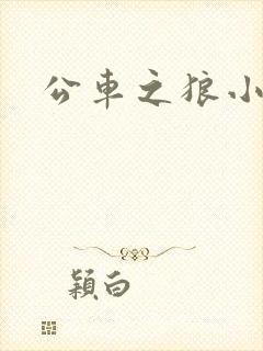公车之狼小说