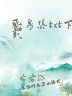 飞鸟集txt下载