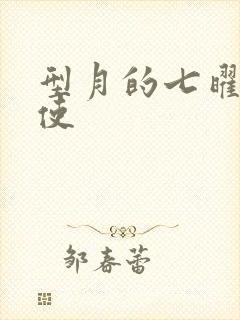 型月的七曜魔法使