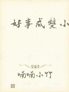好事成双小说