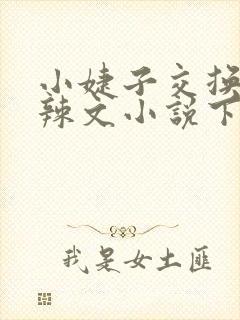 小婕子交换系列辣文小说下载