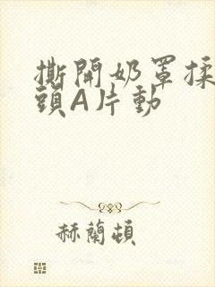 撕开奶罩揉吮奶头A片动