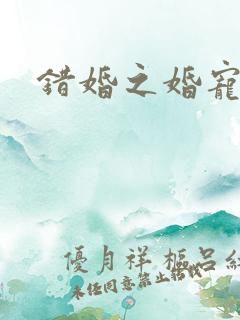 错婚之婚宠一世