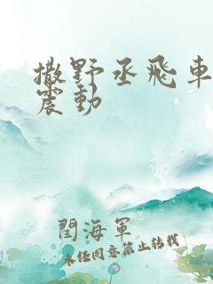 撒野丞飞车道具震动