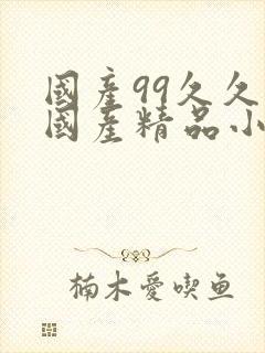 国产99久久久国产精品小说