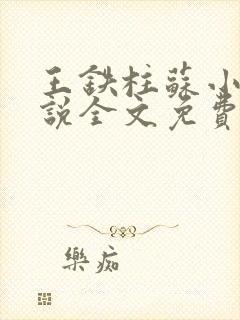 王铁柱苏小汐小说全文免费阅读最新章节