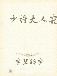 少将大人宠宠我