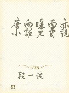 唐向暖南亦琛的小说免费观看