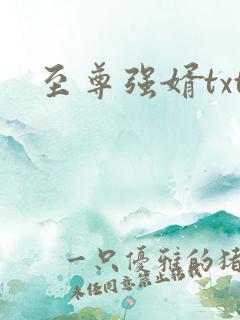 至尊强婿txt