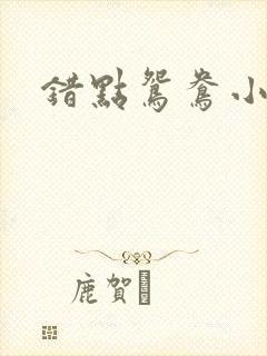 错点鸳鸯小说