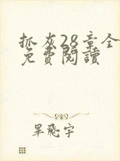 抓灰28章全部免费阅读