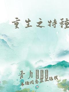 重生之特种军嫂