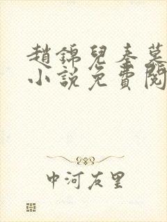 赵锦儿秦慕修的小说免费阅读全文