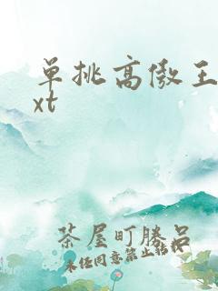 单挑高傲王子txt
