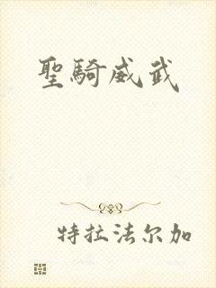 圣骑威武
