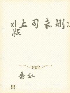 xl上司未删减版