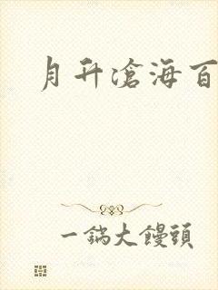 月升沧海百度云