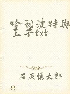 哈利波特与混血王子txt