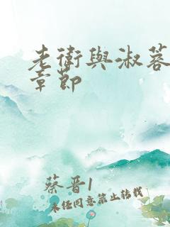 老卫与淑蓉全部章节