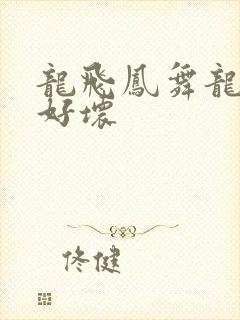 龙飞凤舞龙王你好坏