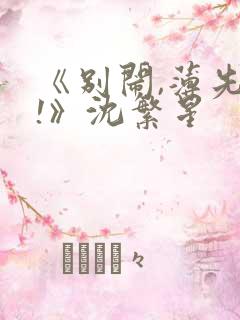 《别闹,薄先生!》沈繁星