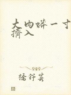 大肉蟒一寸一寸挤入