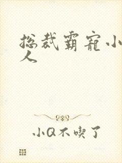 总裁霸宠小小女人