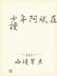 少年阿斌在线阅读