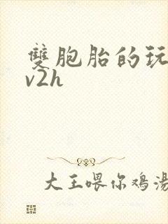 双胞胎的玩具1v2h