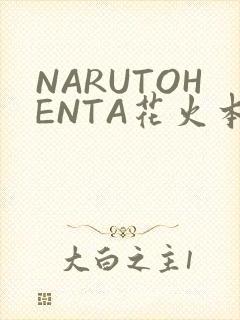 NARUTOHENTA花火本子