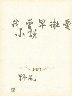 我曾卑微爱过你 小说