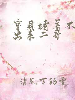 宝贝堵着不许流出来二哥